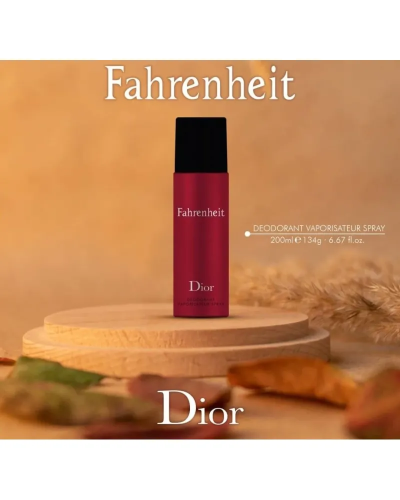 Dior Fahrenheit Erkek Deodorant 200ml
