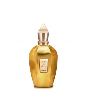 Xerjoff V Accento Overdose 100 ml Unisex EDP Parfüm tester Unisex